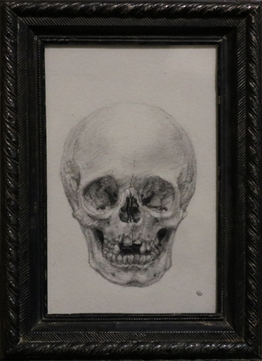 Skull
